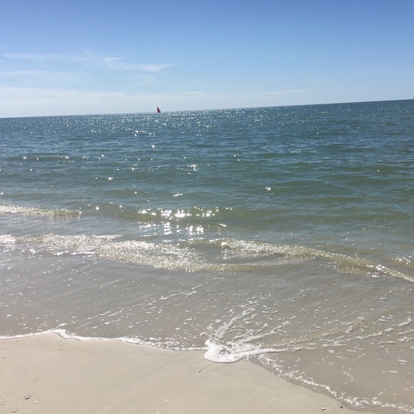 Meet your Posher, Bridget - Picture 1 of 1